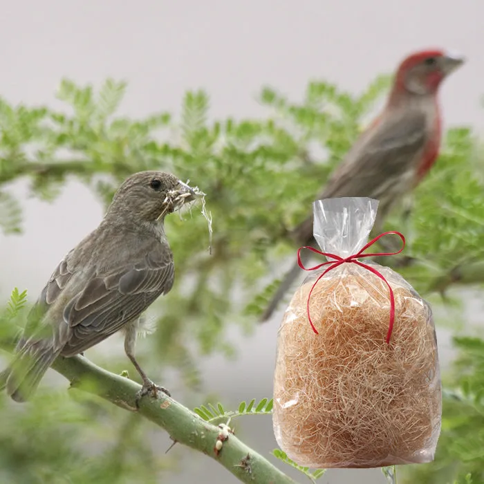 Aspen Nesting Refill