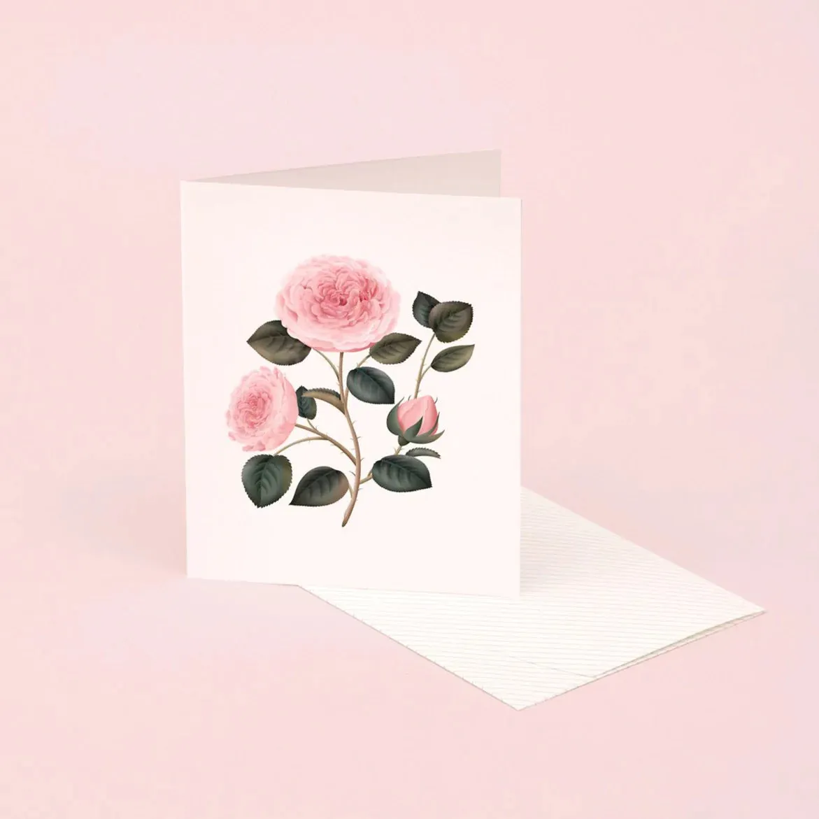 Botanical Scented Card - Bulgarian Rose