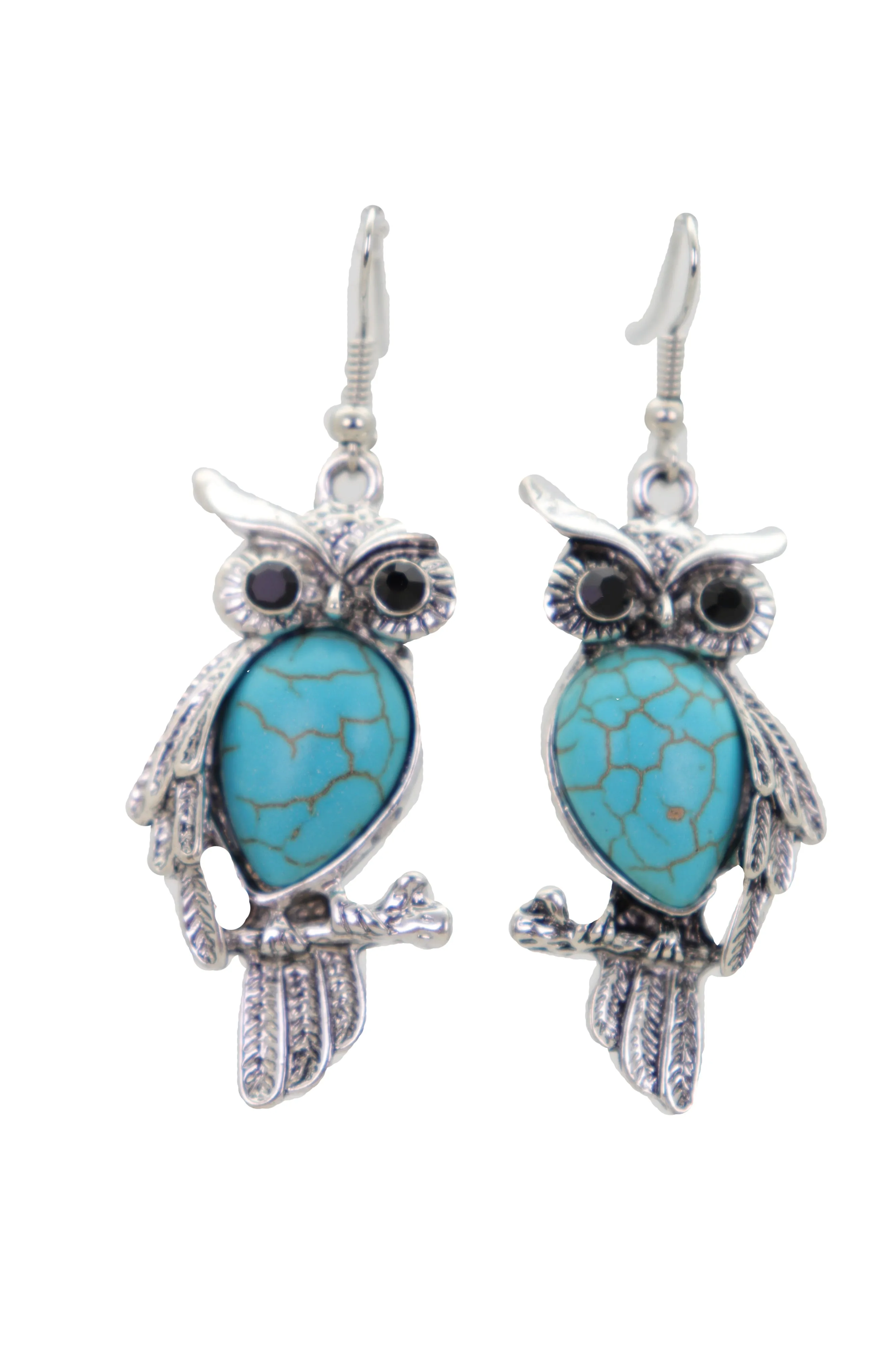 Hook Earrings Set Ethnic Silver Metal Owl Bird Jewelry Turquoise Blue Bead