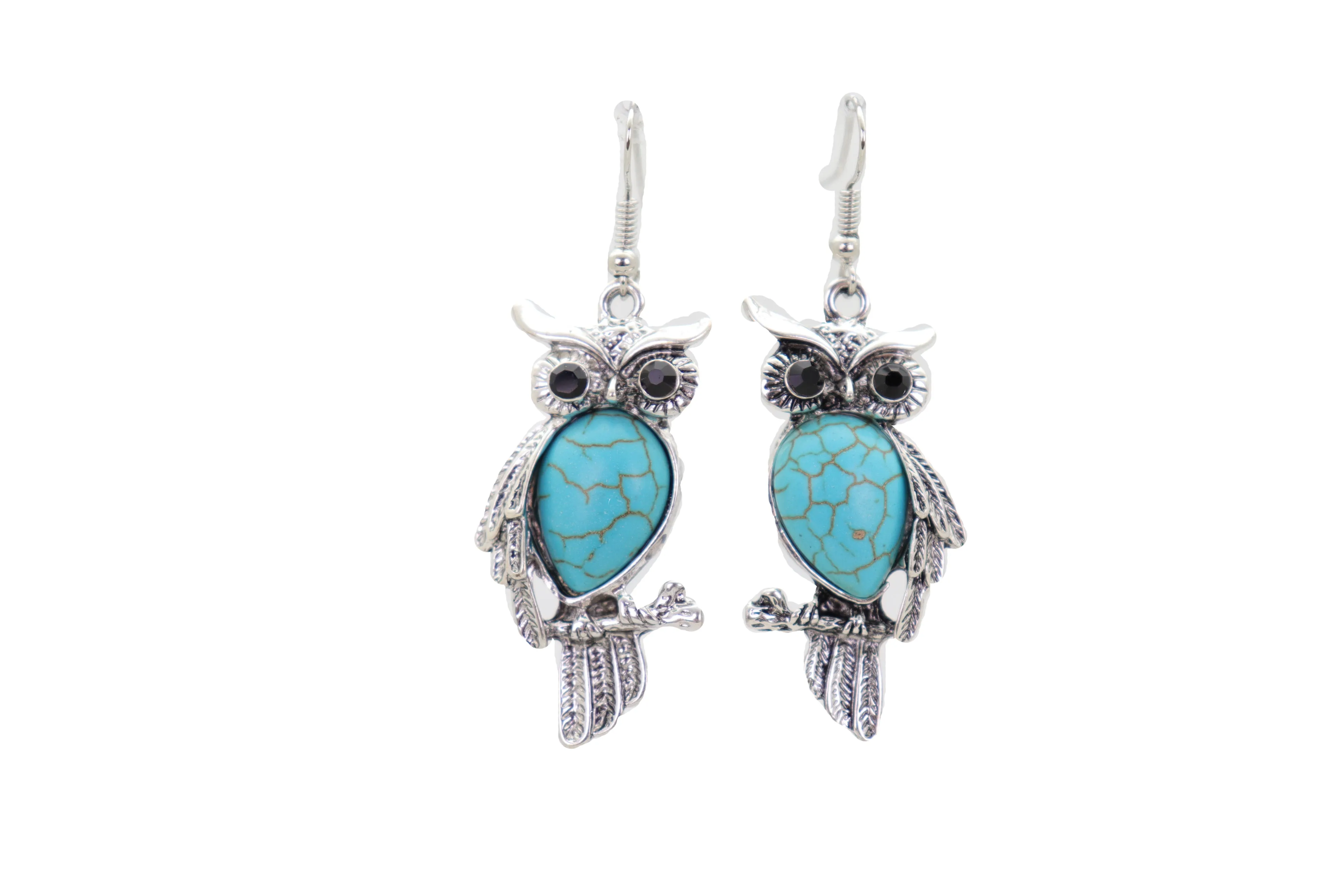 Hook Earrings Set Ethnic Silver Metal Owl Bird Jewelry Turquoise Blue Bead