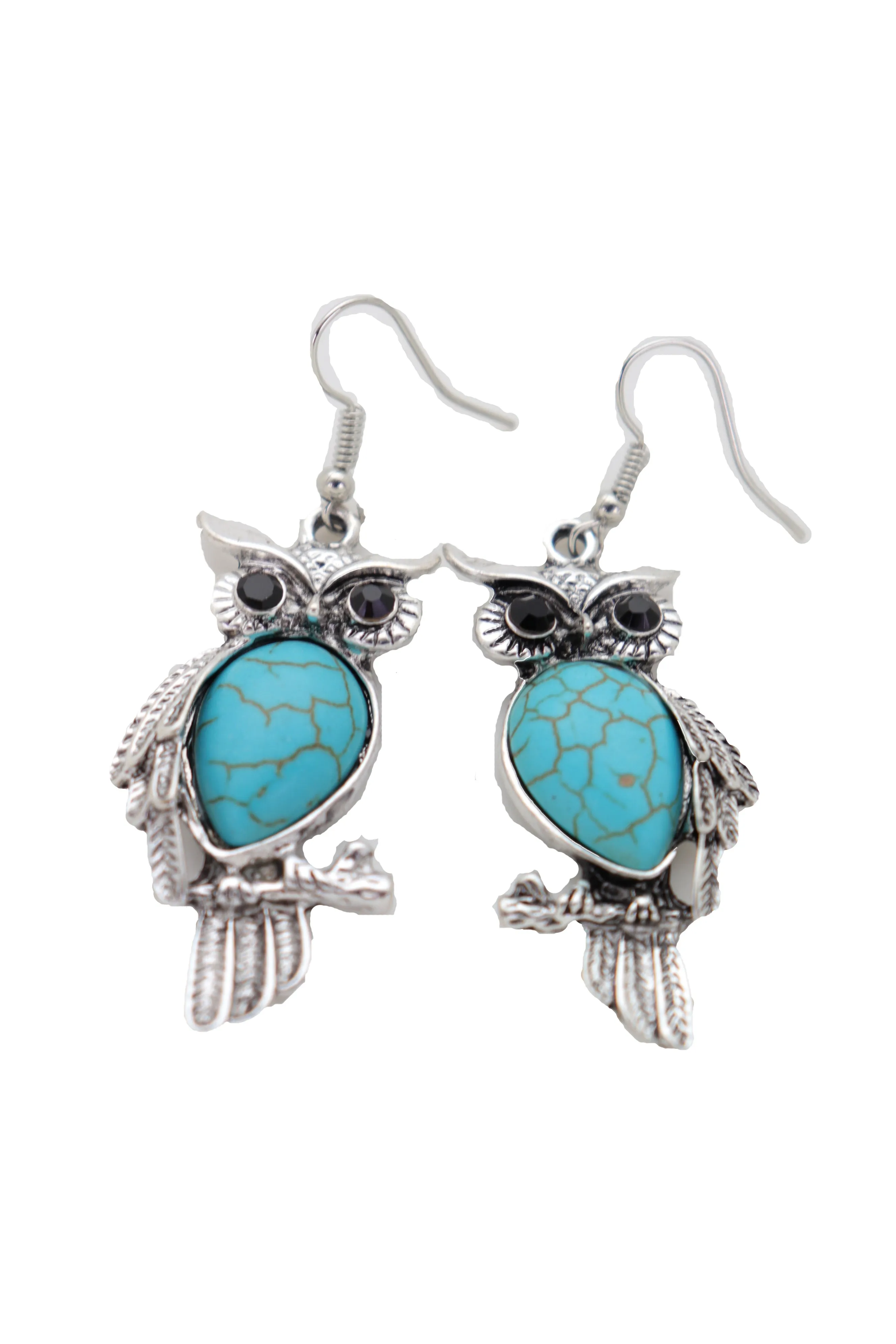 Hook Earrings Set Ethnic Silver Metal Owl Bird Jewelry Turquoise Blue Bead