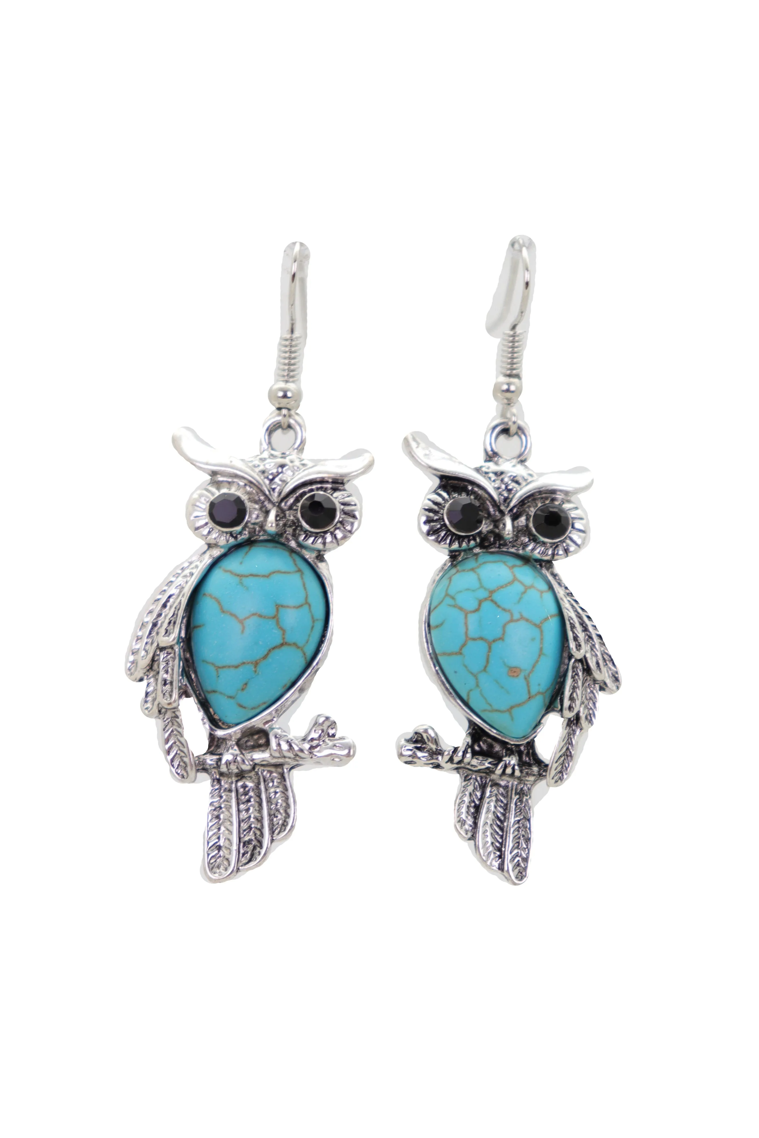 Hook Earrings Set Ethnic Silver Metal Owl Bird Jewelry Turquoise Blue Bead