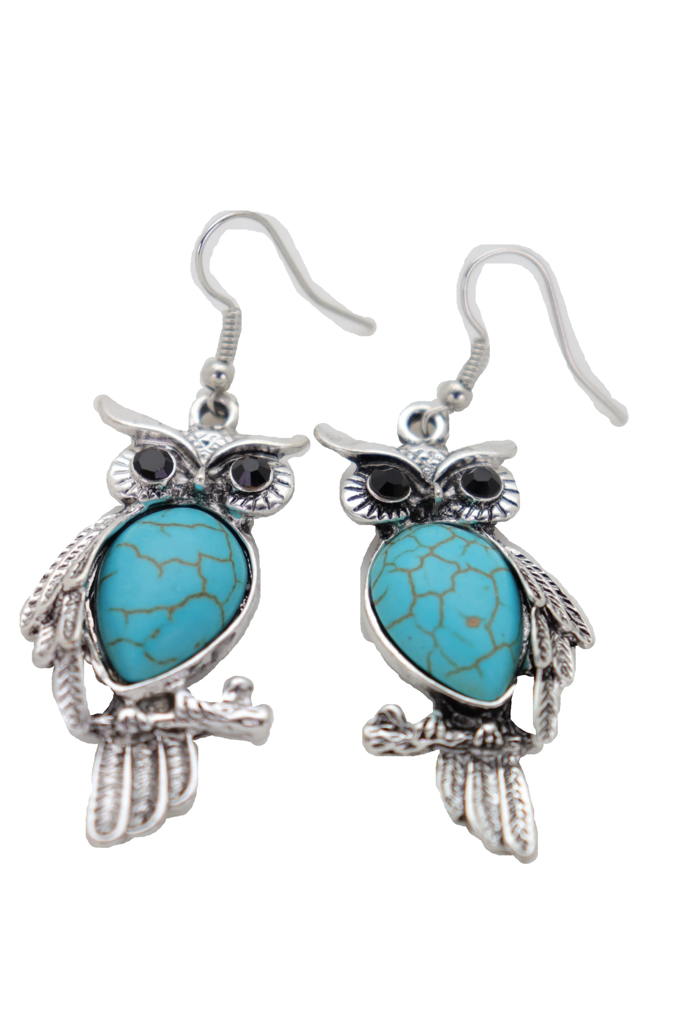 Hook Earrings Set Ethnic Silver Metal Owl Bird Jewelry Turquoise Blue Bead