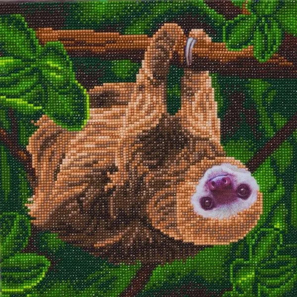 "Two Toed Sloth" Crystal Art Kit 30x30cm