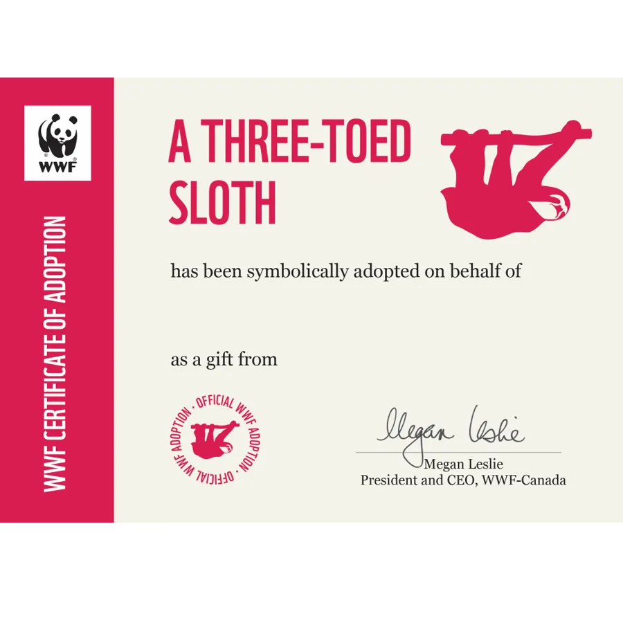 Three-toed sloth adoption card